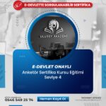 Anketör Sertifika Kursu Eğitimi Seviye 4